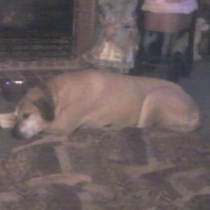 Meet your Posher, Julia